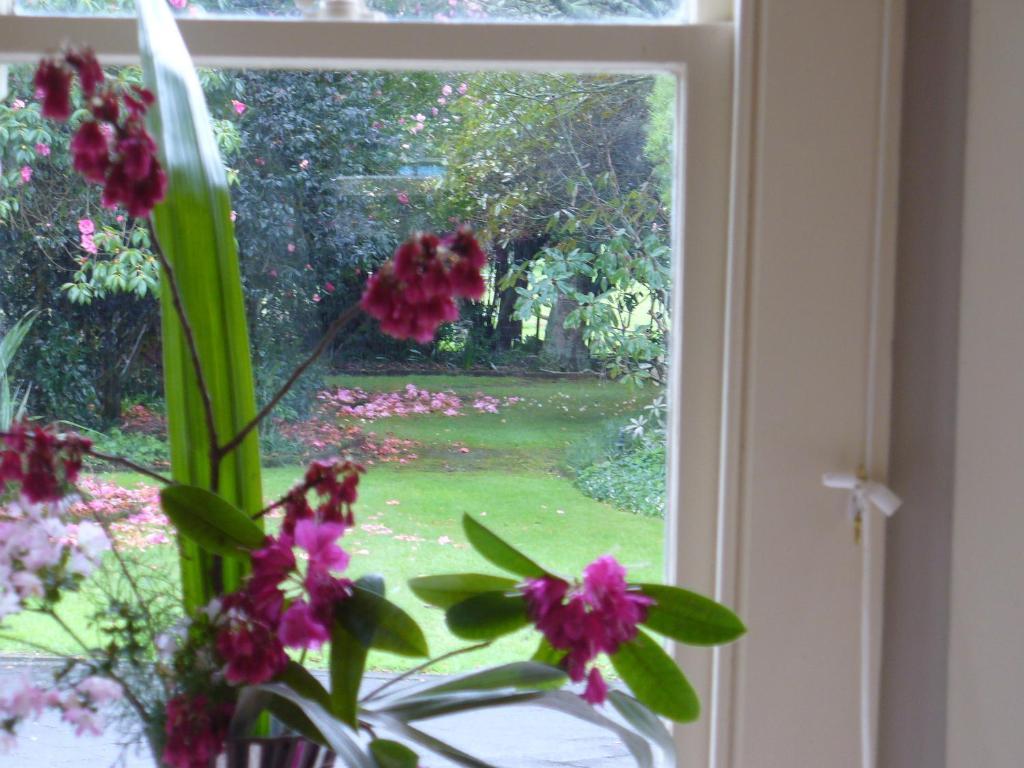 Oak Lane Lodge Hamilton Værelse billede