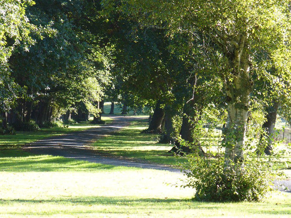 Oak Lane Lodge Hamilton Eksteriør billede