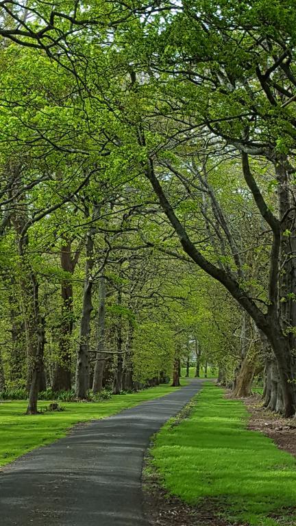 Oak Lane Lodge Hamilton Eksteriør billede