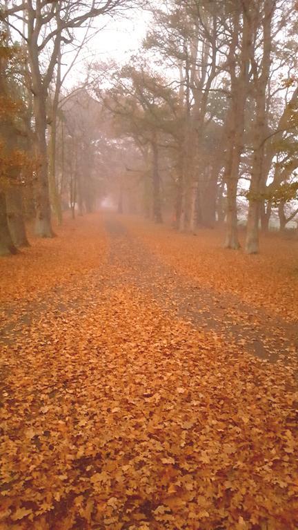 Oak Lane Lodge Hamilton Eksteriør billede