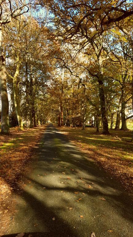 Oak Lane Lodge Hamilton Eksteriør billede