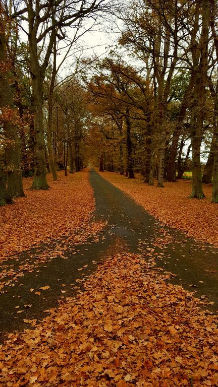 Oak Lane Lodge Hamilton Eksteriør billede