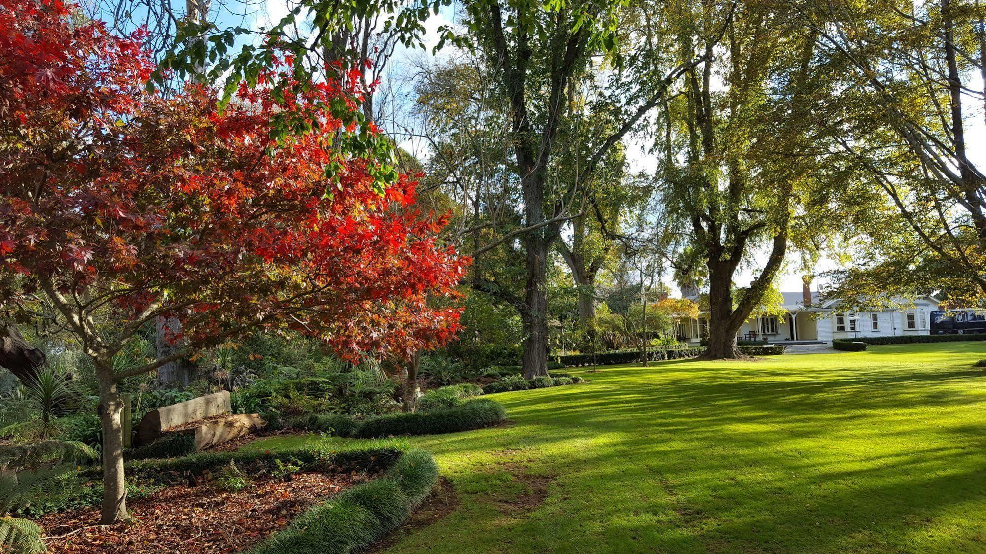 Oak Lane Lodge Hamilton Eksteriør billede